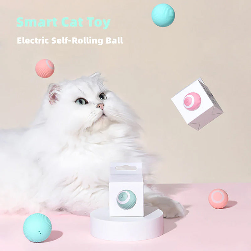 Homny Cat ball - Ativar os instintos naturais do seu gato! | 50% DESCONTO