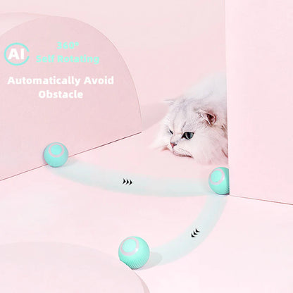 Homny Cat ball - Activate your cat's natural instincts! | 50% DISCOUNT