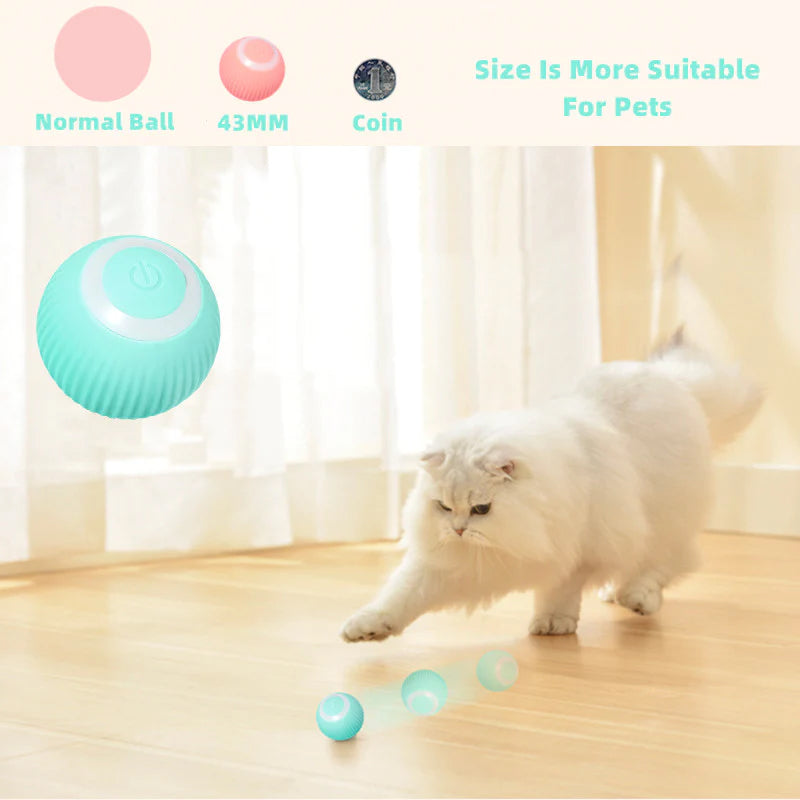 Homny Cat ball - ¡Activa los instintos naturales de tu gato! | 50% DESCUENTO