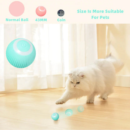 Homny Cat ball - Ativar os instintos naturais do seu gato! | 50% DESCONTO