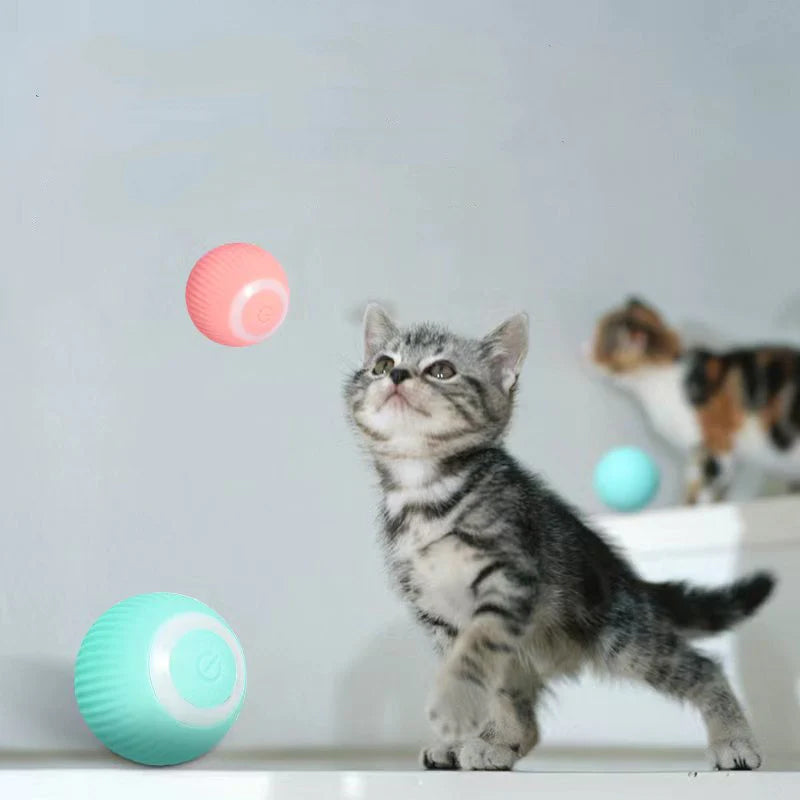 Homny Cat ball - ¡Activa los instintos naturales de tu gato! | 50% DESCUENTO