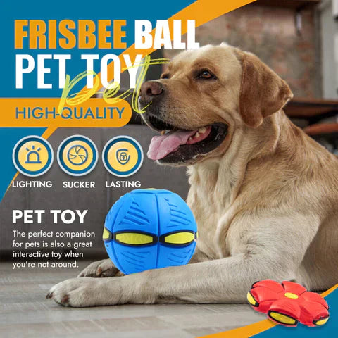 FrisBall | Balle Frisbee Jouet pour animaux